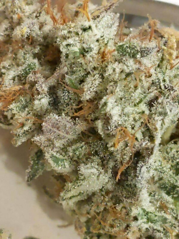 Bruce Banner Cured Flower with good lighting